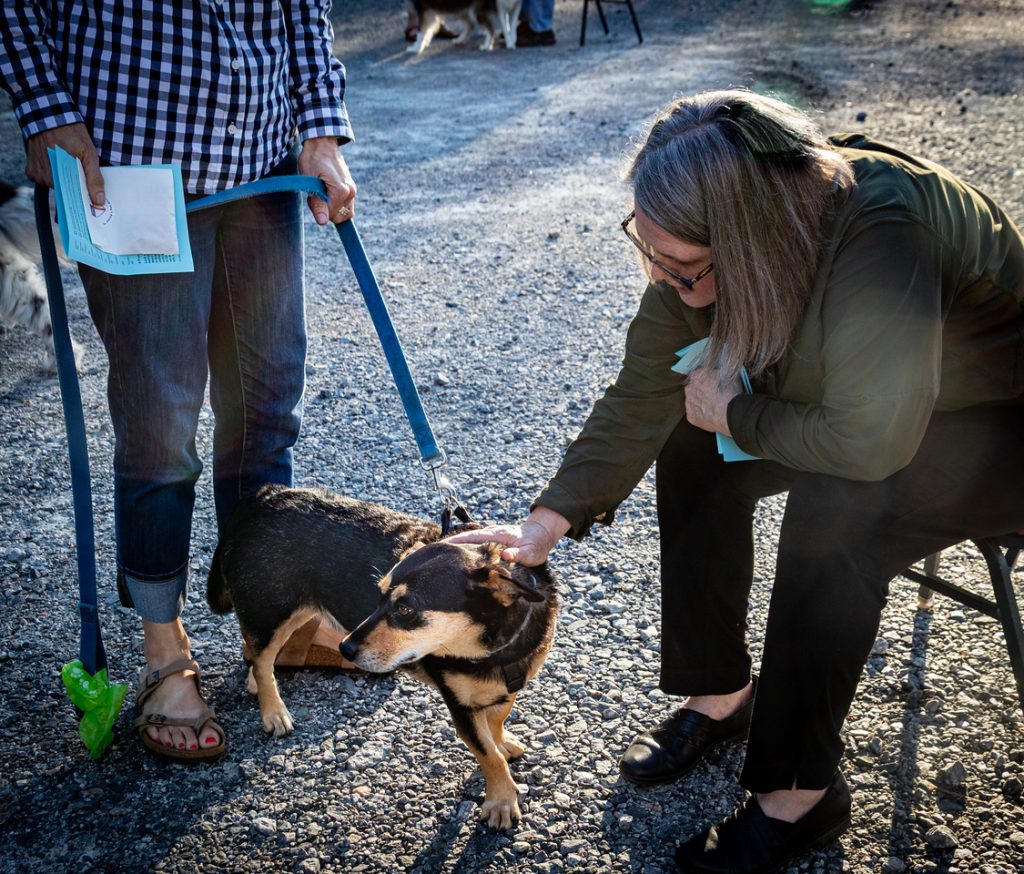 The St. Francis Blessing of the Animals & Harvest Blessing
